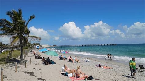 dania beach pier webcam